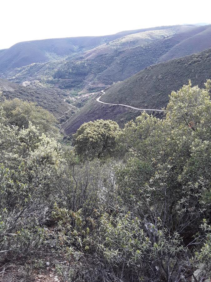 Casa Rural Costanilla San Miguel de Valero エクステリア 写真